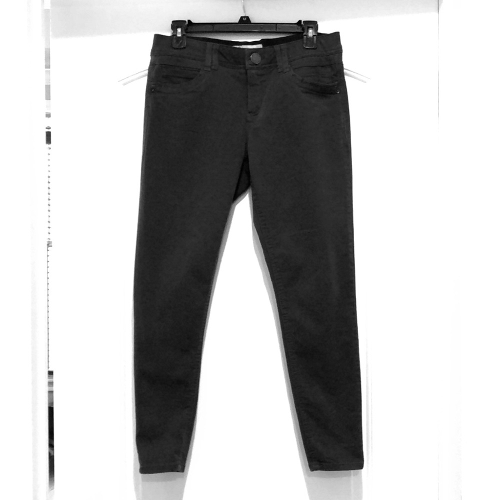 Democracy Pants